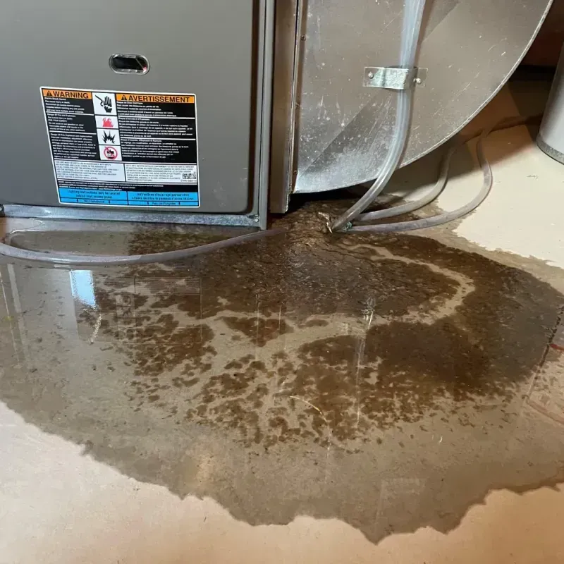 Appliance Leak Cleanup in Richwood, TX